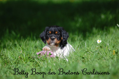 Betty Boop